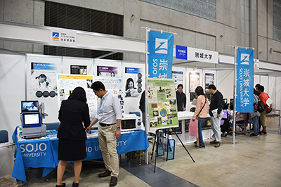 展示の様子