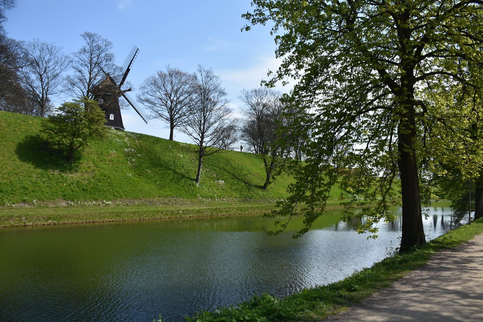A windmill and spring greenery beside the water in Copenhagen