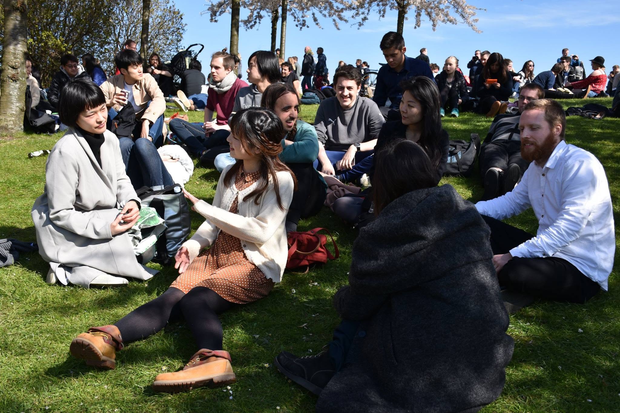Friends relaxing beneath the cherry blossoms