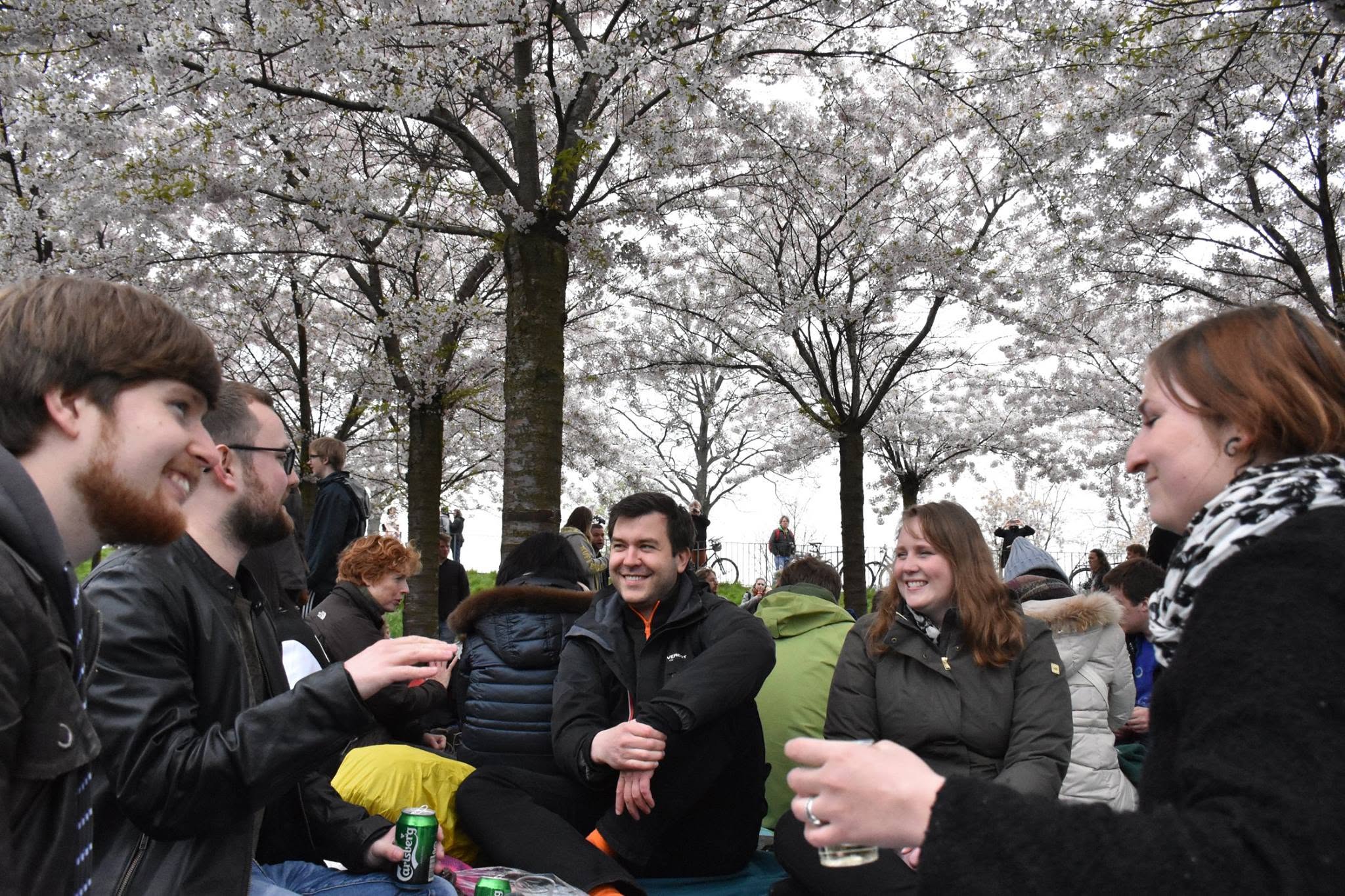 Friends chatting at the Sakura Festival
