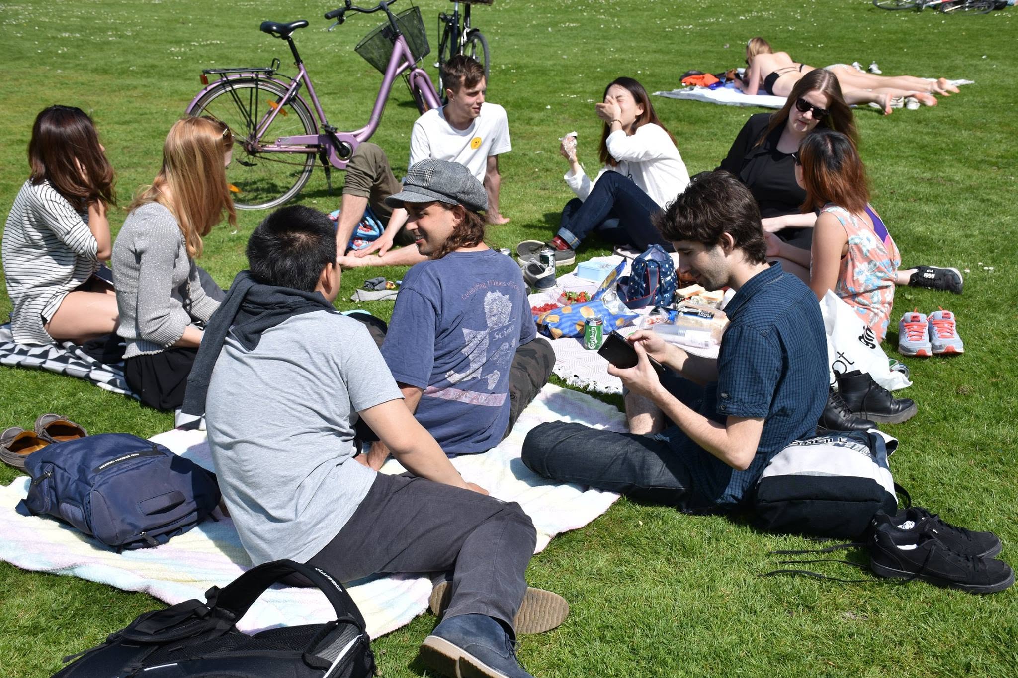 A picnic lunch with friends on a sunny day