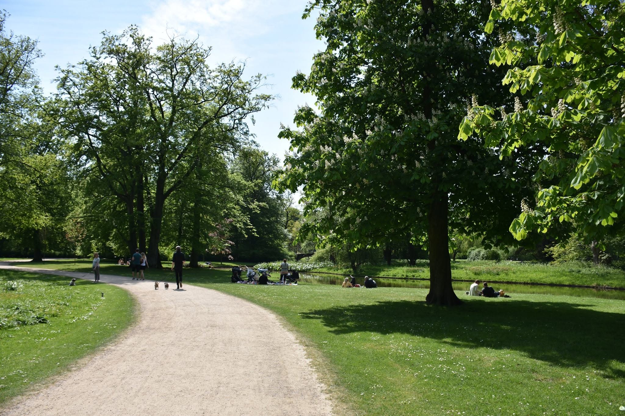 A sunny park near campus