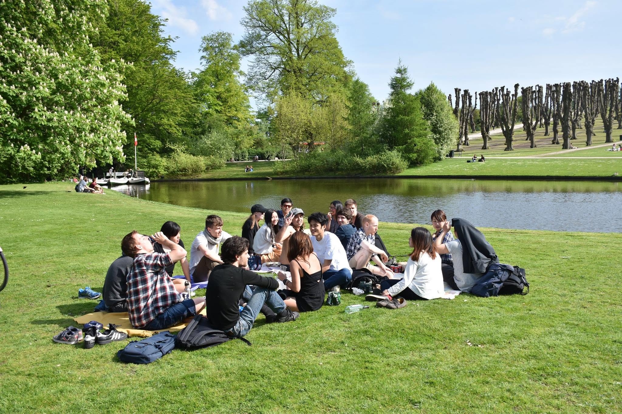 Friends enjoying a picnic beside the water